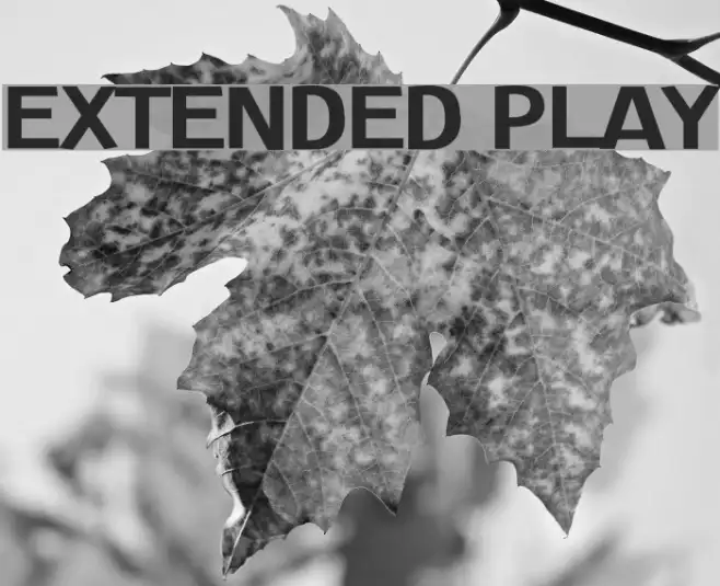 Extended Play Example 3