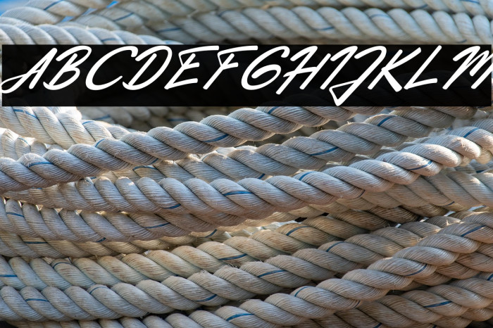 Extendo Italic Example 1