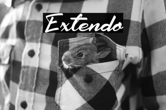 Extendo Example 1
