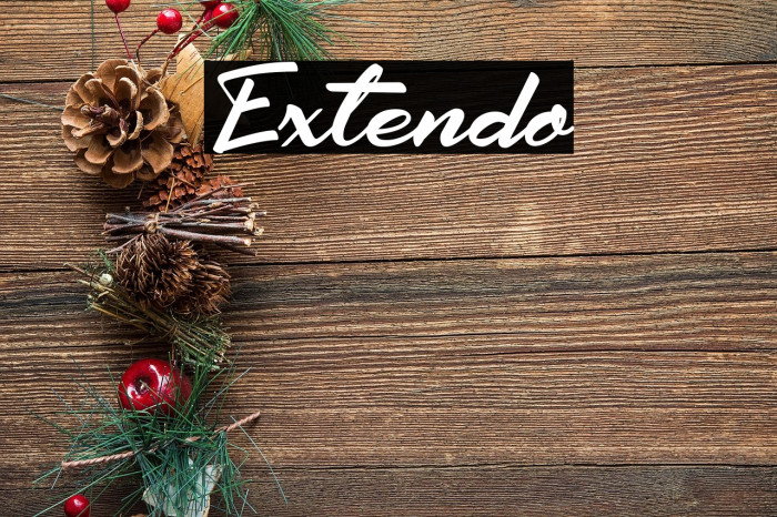 Extendo Example 3
