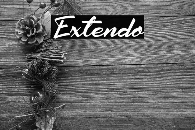 Extendo Font examples