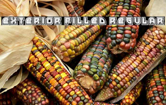 Exterior Filled Regular Example 1