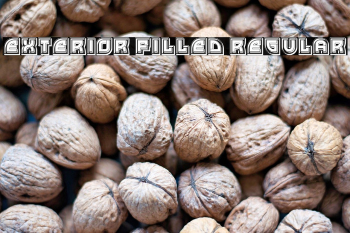 Exterior Filled Regular Example 2