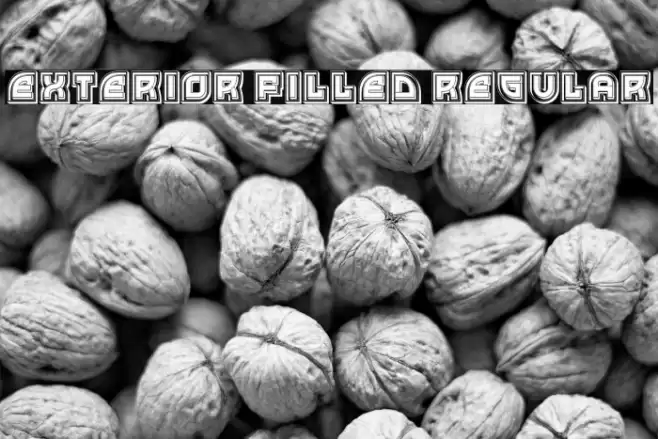 Exterior Filled Regular Font examples