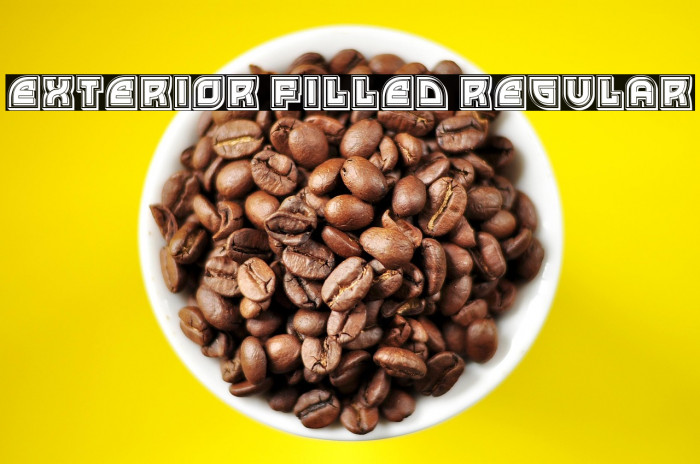 Exterior Filled Regular Example 3