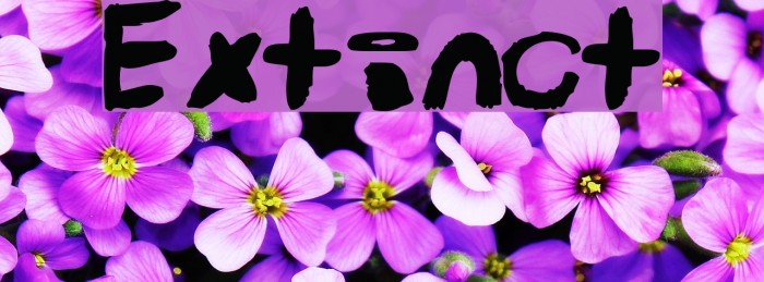 extinct 字体