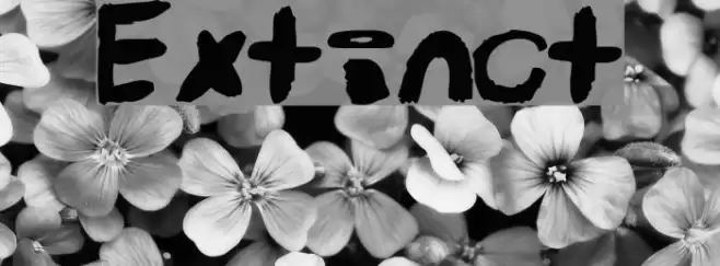 Extinct Font examples