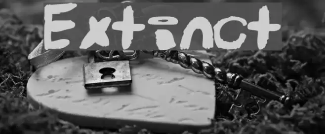 Extinct Font examples