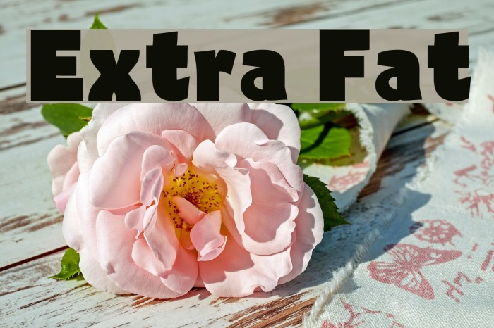 Extra Fat Font examples