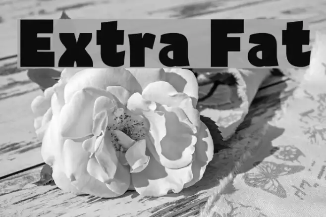 Extra Fat Example 1