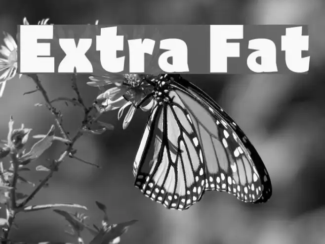 Extra Fat Example 2