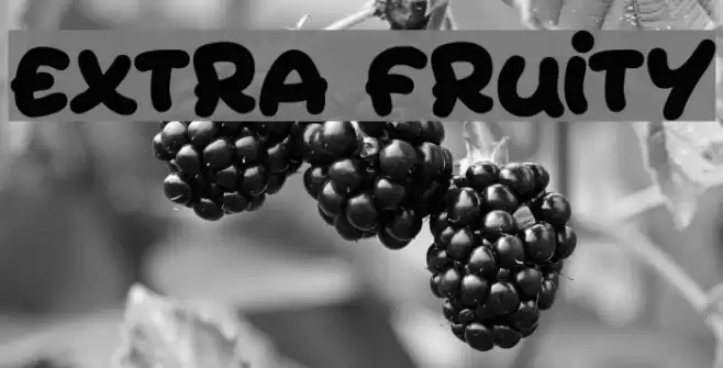 Extra Fruity Font examples