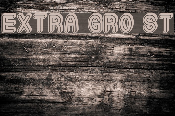 Extra Gro St Font examples