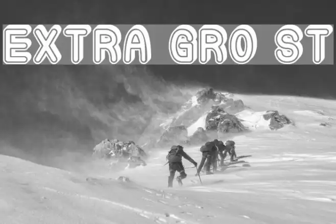 Extra Gro St Example 3