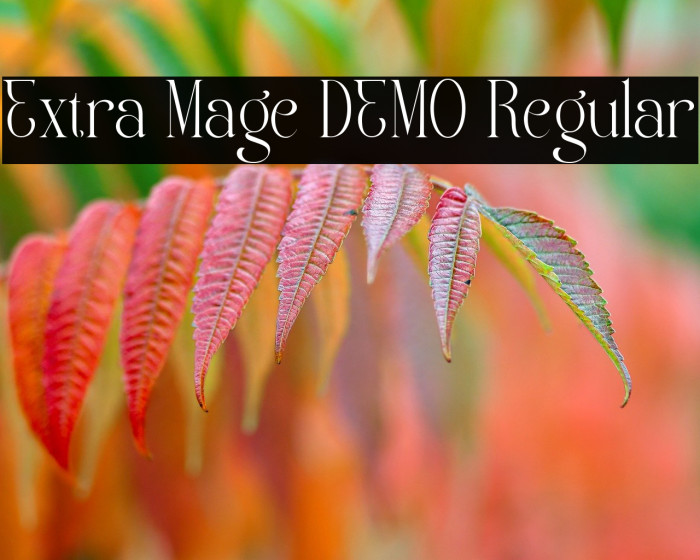 Extra Mage DEMO Regular Example 1