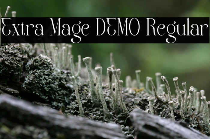 Extra Mage DEMO Regular Example 2