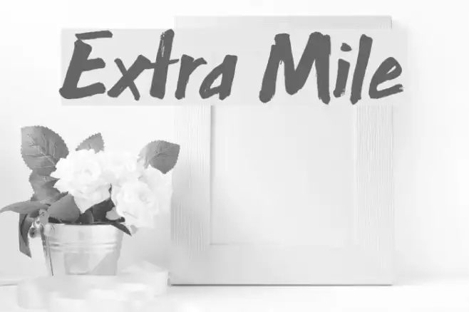 Extra Mile Example 2