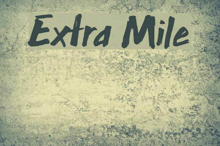 Extra Mile Example 3