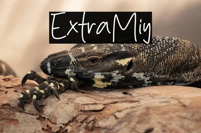 Extra Milky Example 3
