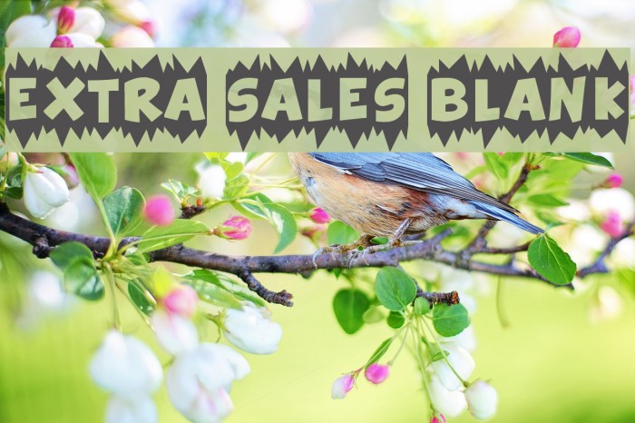 Extra Sales Blank Example 1