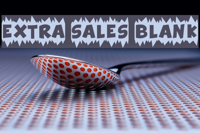 Extra Sales Blank Example 2