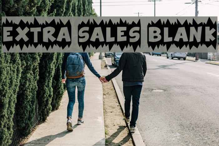 Extra Sales Blank Example 3