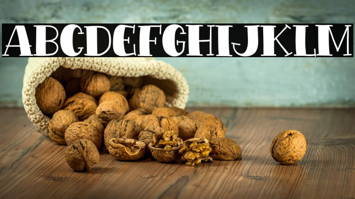 Extra Snack Example 2