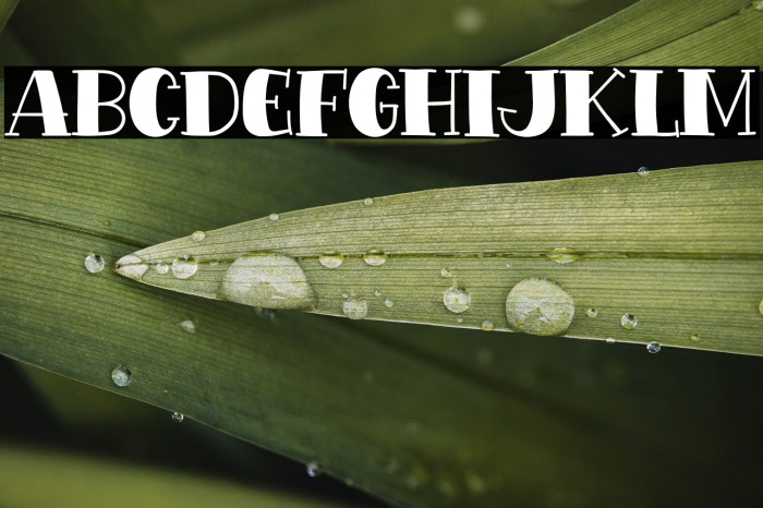 Extra Snack Example 3