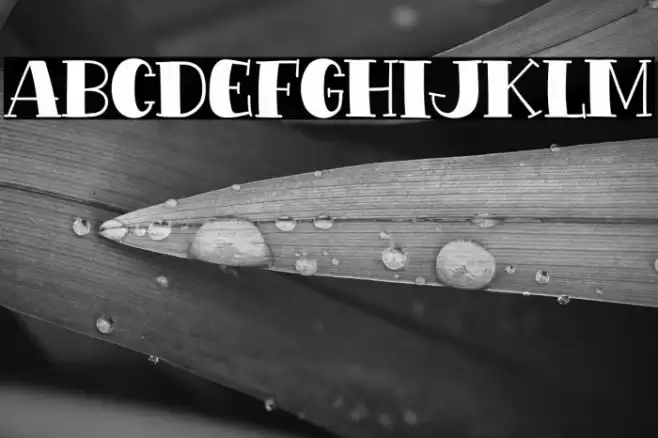 Extra Snack Font examples