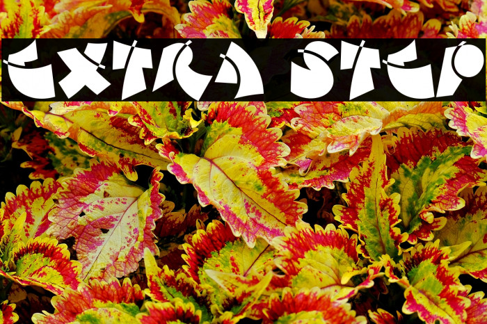 Extra Step Example 1