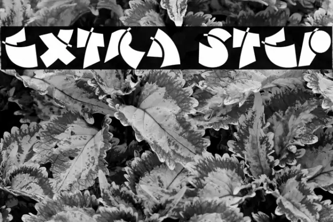 Extra Step Font examples