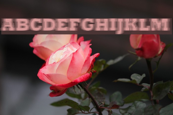 ExtraBlur Font examples