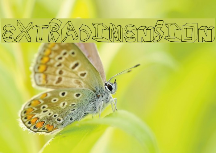 ExtraDimension Font examples