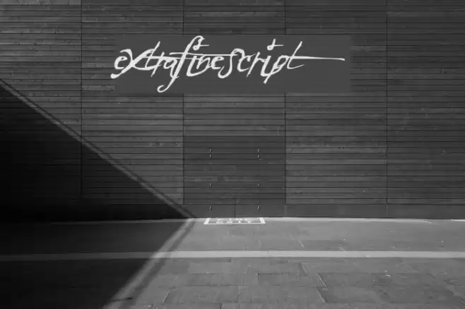 ExtraFineScript Font examples