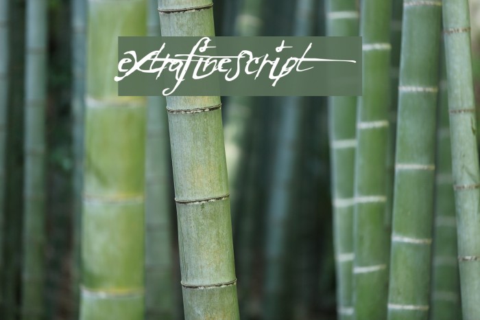 ExtraFineScript Example 2