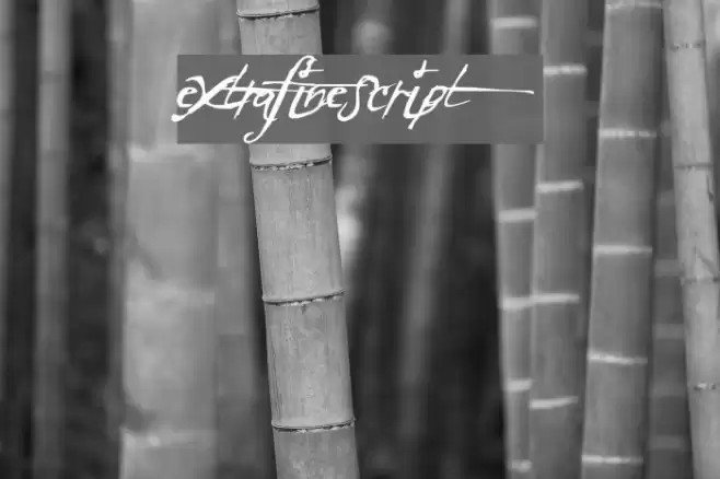 ExtraFineScript Font examples