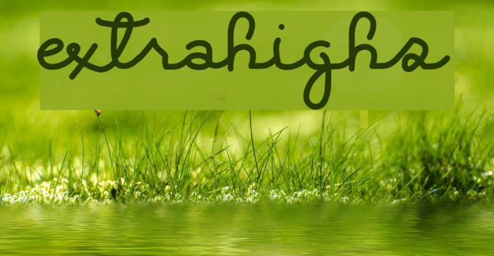 ExtraHighs Font examples