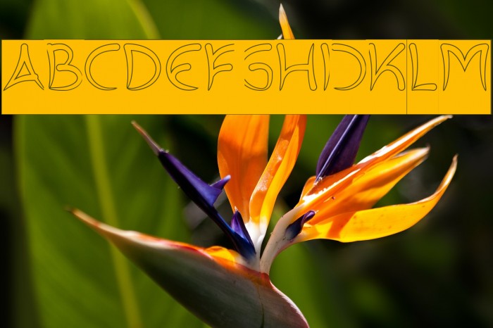 ExtraHotHollowInverse Example 3