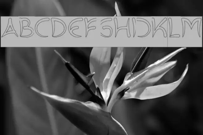 ExtraHotHollowInverse Font examples