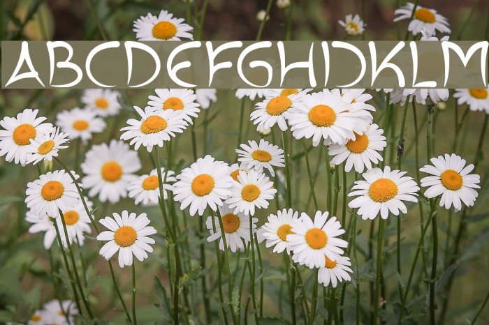 ExtraHotLight Font examples