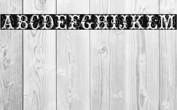 ExtraOrnamentalNo2 Font examples