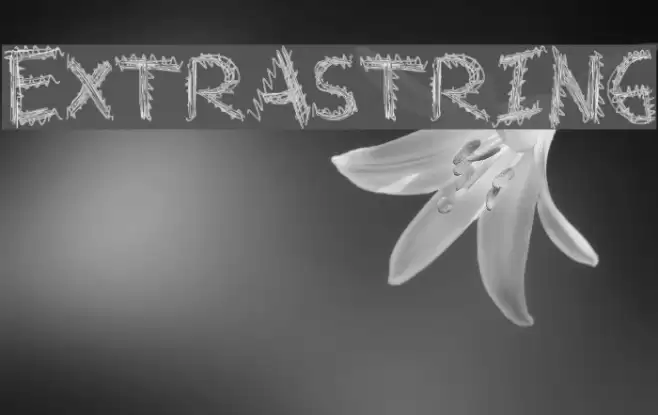 ExtraString Font examples