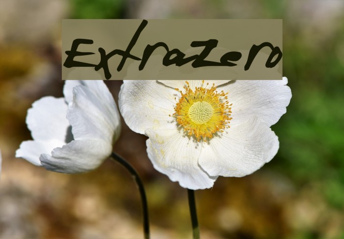 ExtraZero Font examples