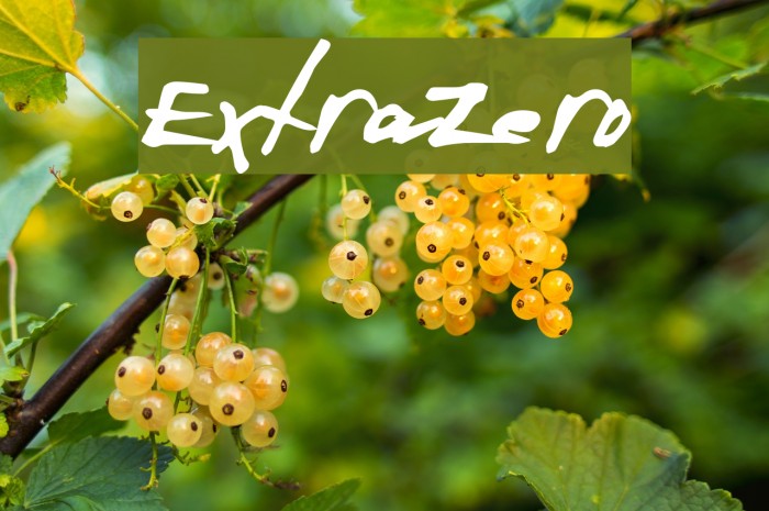ExtraZero Font examples