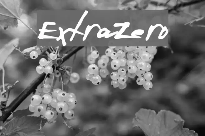 ExtraZero Example 3