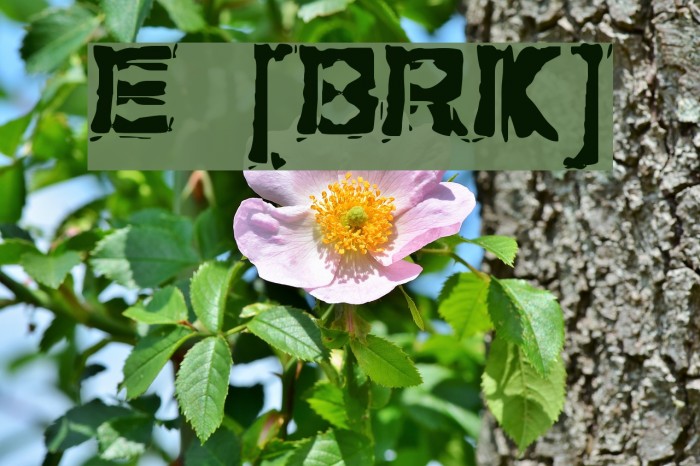 Extraction [BRK] Example 2