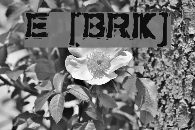 Extraction [BRK] Font examples