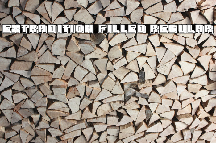 Extradition Filled Regular Example 1