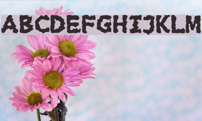 Extralucid Font examples
