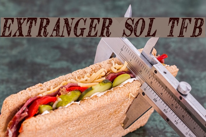 Extranger sol tfb Font examples